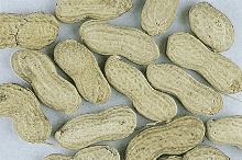Erdnüsse in Schale 250 G